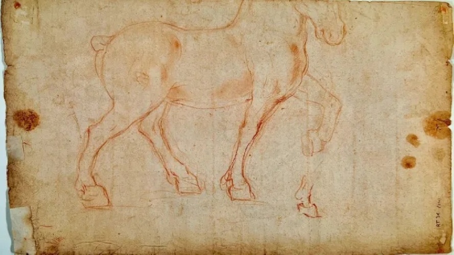 https://www.ragusanews.com//immagini_articoli/10-06-2022/arte-cavallo-ideale-di-leonardo-scoperta-sanguigna-bifacciale-su-carta-500.jpg