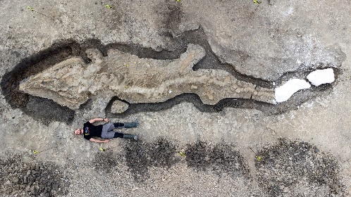 https://www.ragusanews.com//immagini_articoli/11-01-2022/archeologia-scoperto-fossile-drago-marino-vecchio-di-180-mln-di-anni-ft-280.jpg