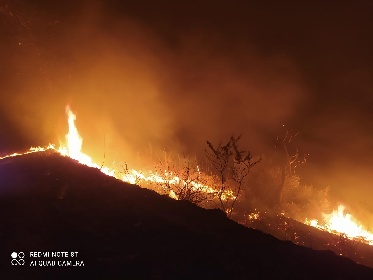https://www.ragusanews.com//immagini_articoli/12-08-2021/1628781962-giarratana-video-e-foto-dell-incendio-a-calaforno-3-280.jpg