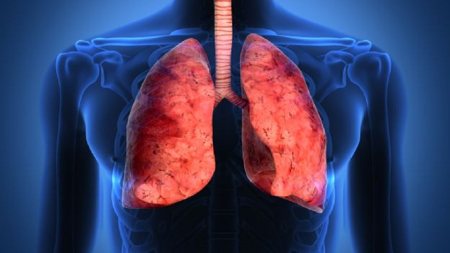 https://www.ragusanews.com//immagini_articoli/15-01-2022/come-pulire-i-polmoni-con-la-dieta-i-10-cibi-alleati-dei-fumatori-500.jpg