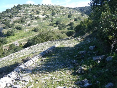 https://www.ragusanews.com/immagini_articoli/01-02-2022/sicilia-le-trazzere-del-re-battono-ancora-cassa-280.jpg
