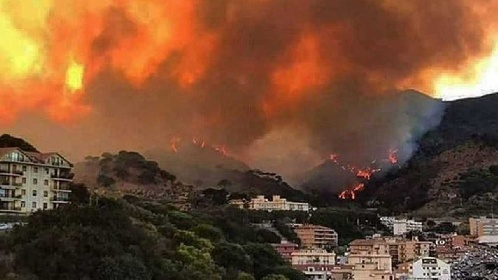 https://www.ragusanews.com/immagini_articoli/02-08-2021/incendi-non-e-il-caldo-una-specialita-siciliana-video-280.jpg