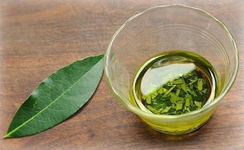https://www.ragusanews.com/immagini_articoli/04-02-2020/dieta-dimagrire-con-linfuso-di-alloro-500.jpg