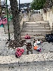 https://www.ragusanews.com/immagini_articoli/05-01-2024/la-spazzatura-e-gli-scarponi-da-sci-in-via-monte-cervino-a-ragusa-100.jpg