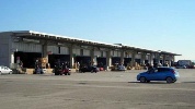 https://www.ragusanews.com/immagini_articoli/05-10-2024/furto-in-sette-box-del-mercato-ortofrutticolo-di-vittoria-100.jpg