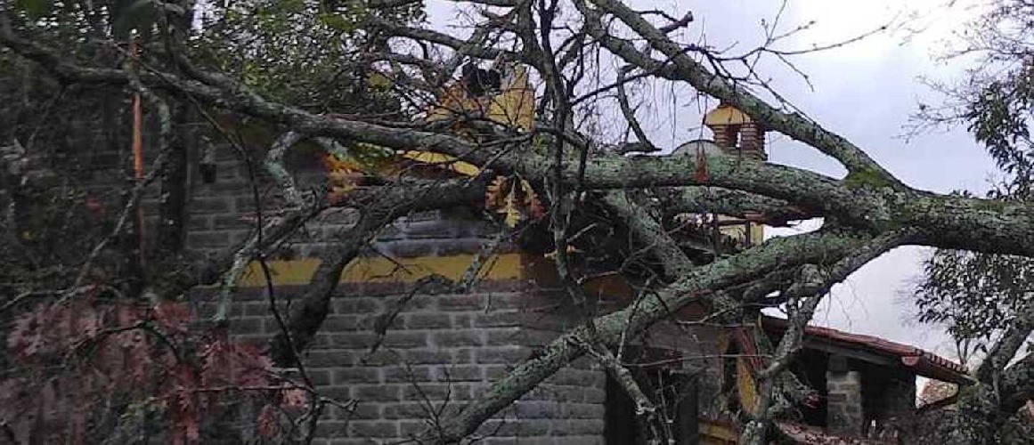 https://www.ragusanews.com/immagini_articoli/06-01-2024/maltempo-a-modcia-un-albero-cade-su-una-casa-di-modica-alta-500.jpg
