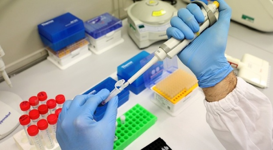 https://www.ragusanews.com/immagini_articoli/06-02-2024/bimbo-di-3-anni-ha-la-leucemia-doppio-trapianto-di-midollo-e-microbiota-500.jpg