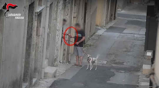 https://www.ragusanews.com/immagini_articoli/06-05-2024/ragusa-operazione-antidroga-dei-carabinieri-con-arresto-di-9-persone-300.jpg