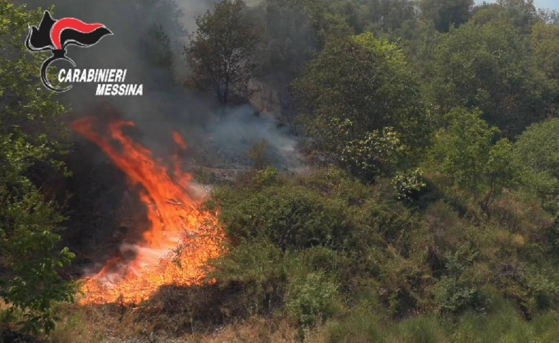 https://www.ragusanews.com/immagini_articoli/06-05-2025/incendia-terreni-per-il-pascolo-va-in-fiamme-anche-il-suo-camion-500.jpg