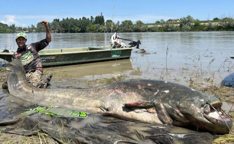 https://www.ragusanews.com/immagini_articoli/06-06-2023/cattura-nel-po-un-pesce-siluro-di-3-metri-500.jpg
