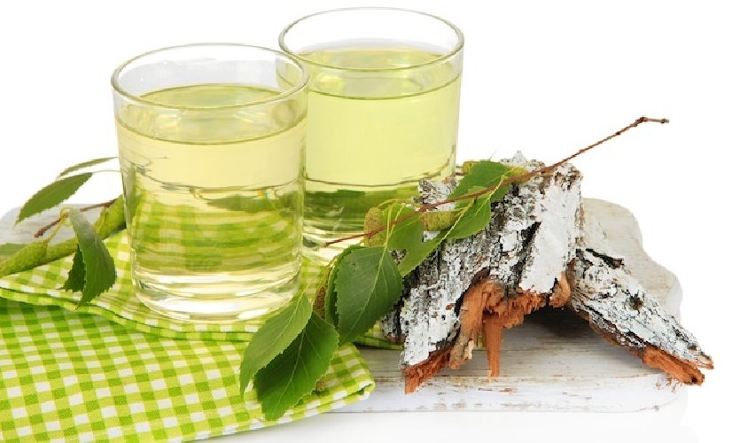 https://www.ragusanews.com/immagini_articoli/06-08-2019/ecco-le-tisane-per-dimagrire-con-le-tisane-fai-da-te-500.jpg