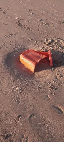 https://www.ragusanews.com/immagini_articoli/06-12-2021/1638778700-il-mare-ci-riporta-i-nostri-rifiuti-anche-a-sampieri-foto-2-280.jpg