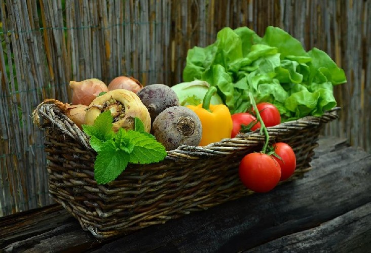 https://www.ragusanews.com/immagini_articoli/07-05-2020/verdure-non-amidacee-per-dimagrire-quali-sono-500.jpg
