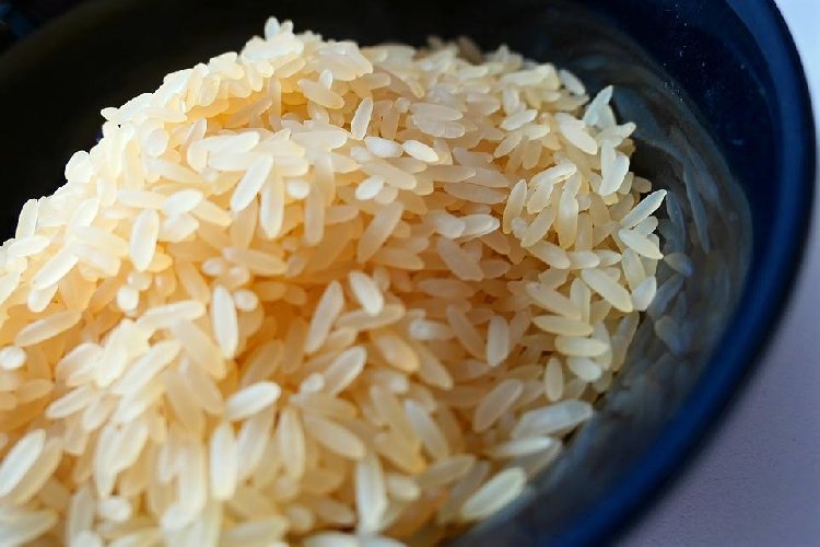 https://www.ragusanews.com/immagini_articoli/07-05-2021/quanto-riso-mangiare-se-siamo-a-dieta-500.jpg