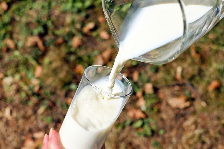 https://www.ragusanews.com/immagini_articoli/07-10-2019/cos-e-la-dieta-latte-indicazioni-su-seguirla-500.jpg