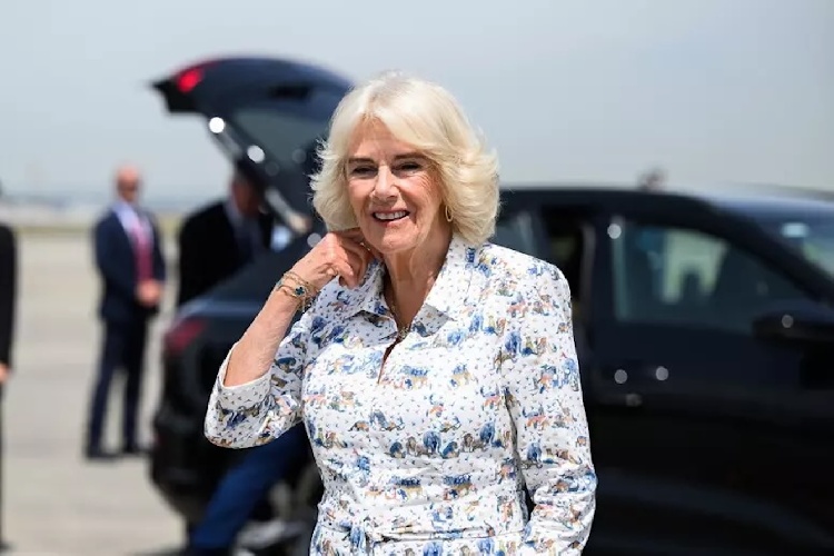 https://www.ragusanews.com/immagini_articoli/07-11-2024/camilla-malata-famiglia-relae-ko-500.jpg