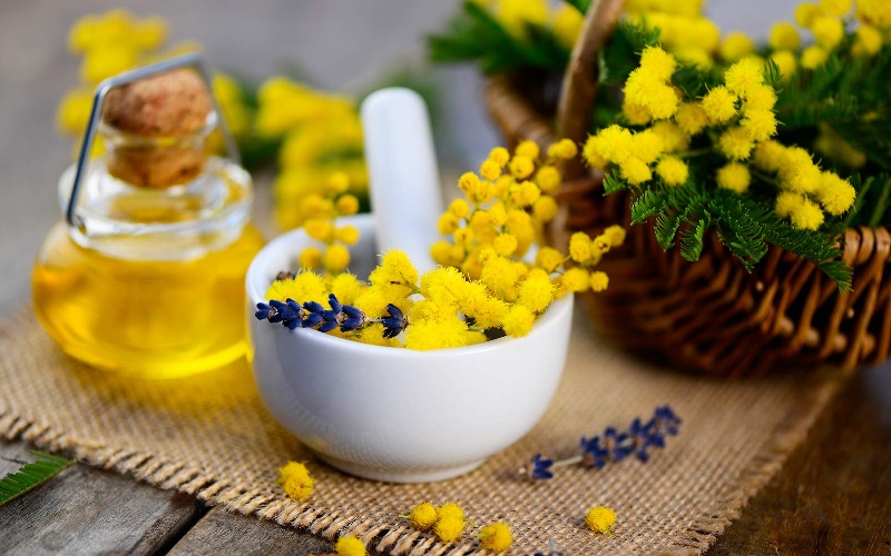 https://www.ragusanews.com/immagini_articoli/08-03-2022/la-tisana-alla-mimosa-proprieta-e-benefici-500.jpg