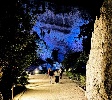 https://www.ragusanews.com/immagini_articoli/08-07-2022/dolce-gabbana-5-giorni-e-5-location-per-celebrare-il-decennale-della-casa-100.jpg