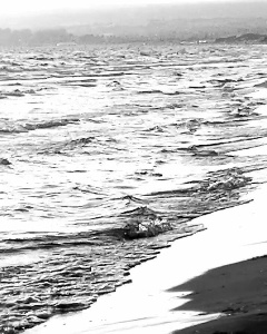 https://www.ragusanews.com/immagini_articoli/08-09-2022/marina-marza-in-bianco-e-nero-e-a-colori-video-300.jpg