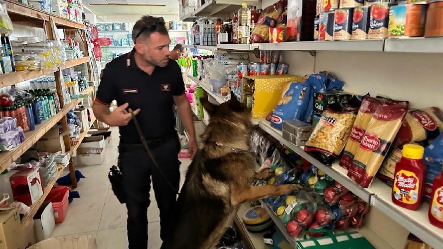 https://www.ragusanews.com/immagini_articoli/08-09-2023/il-minimarket-di-punta-braccetto-fiorente-luogo-di-spaccio-di-droga-500.jpg