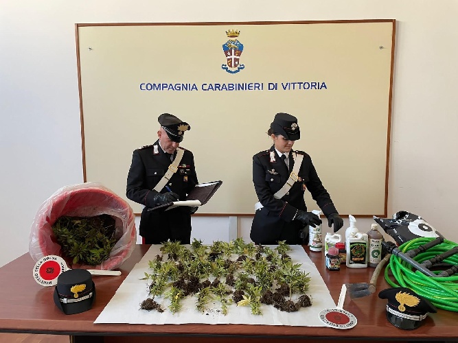 https://www.ragusanews.com/immagini_articoli/08-11-2022/la-coppia-di-tedeschi-che-coltiva-droga-ad-acate-500.jpg