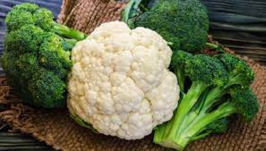 https://www.ragusanews.com/immagini_articoli/09-01-2022/dieta-dei-broccoli-e-cavolfiori-dimagrisci-e-ti-sgonfi-500.jpg
