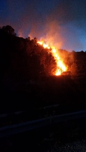 https://www.ragusanews.com/immagini_articoli/09-04-2024/canadair-in-azione-per-domare-incendio-a-monterosso-almo-300.jpg