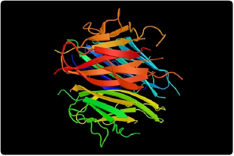 https://www.ragusanews.com/immagini_articoli/09-06-2020/acceleratore-del-dimagrimento-cos-e-l-adiponectina-500.jpg