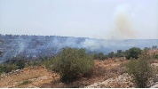 https://www.ragusanews.com/immagini_articoli/09-07-2024/incendio-tra-pozzallo-e-ispica-effettuati-diversi-lanci-d-acqua-con-elicot-100.jpg