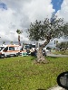 https://www.ragusanews.com/immagini_articoli/09-07-2024/incidente-alla-fontana-della-pace-auto-contro-autocarro-un-ferito-100.jpg