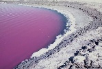 https://www.ragusanews.com/immagini_articoli/09-08-2022/il-mitologico-lago-rosso-di-pergusa-rischia-di-sparire-dopo-11-000-anni-100.jpg