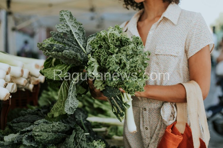 https://www.ragusanews.com/immagini_articoli/09-10-2019/la-dieta-cavolo-500.jpg