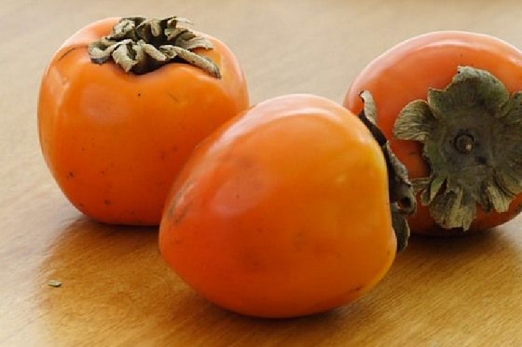 https://www.ragusanews.com/immagini_articoli/09-12-2018/cachi-mela-ottimi-dieta-dimagrante-500.jpg