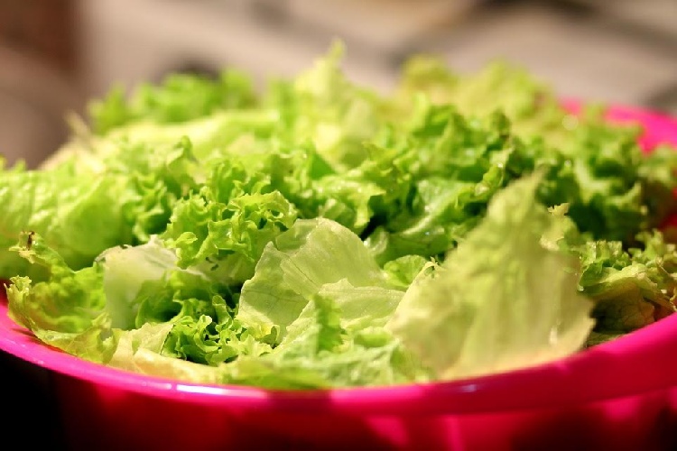 https://www.ragusanews.com/immagini_articoli/09-12-2021/l-insalata-a-dieta-come-trarne-i-massimi-vantaggi-per-dimagrire-500.jpg