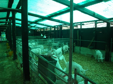 https://www.ragusanews.com/immagini_articoli/11-04-2022/1649661061-albacara-bio-un-azienda-agricola-multifunzionale-1-280.jpg