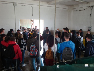 https://www.ragusanews.com/immagini_articoli/11-04-2022/1649661123-albacara-bio-un-azienda-agricola-multifunzionale-3-280.jpg