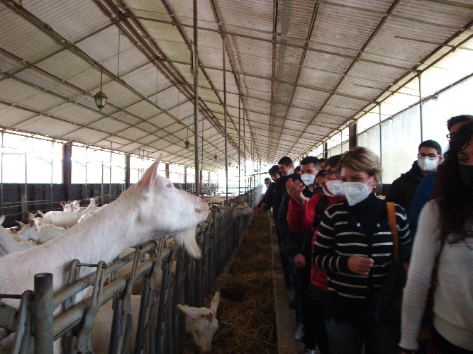 https://www.ragusanews.com/immagini_articoli/11-04-2022/albacara-bio-un-azienda-agricola-multifunzionale-500.jpg