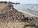 https://www.ragusanews.com/immagini_articoli/11-08-2022/e-questa-sarebbe-la-spiaggia-di-montalbano-100.jpg