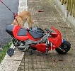 https://www.ragusanews.com/immagini_articoli/12-04-2025/morto-il-bambino-di-4-anni-caduto-con-la-minimoto-100.jpg