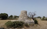 https://www.ragusanews.com/immagini_articoli/13-07-2024/escursione-ai-muraggi-di-ragusa-video-100.jpg
