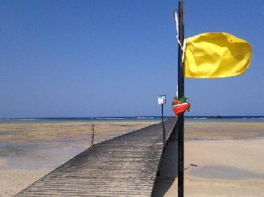 https://www.ragusanews.com/immagini_articoli/15-02-2021/covid-sventola-bandiera-gialla-l-isola-torna-finalmente-a-sedersi-al-bar-280.jpg