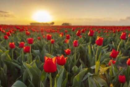https://www.ragusanews.com/immagini_articoli/15-04-2021/sicilia-la-rossa-primavera-positivi-tra-i-vaccinati-ricoveri-in-aumento-280.jpg