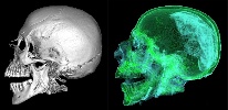https://www.ragusanews.com/immagini_articoli/15-04-2025/pubblicato-su-rivista-internazionale-lo-studio-scientifico-sulle-mummie-di-sant-anna-a-modica-100.jpg