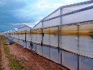 https://www.ragusanews.com/immagini_articoli/15-07-2022/finanziamenti-alle-aziende-agricole-ragusane-il-90-a-carico-della-regione-100.jpg