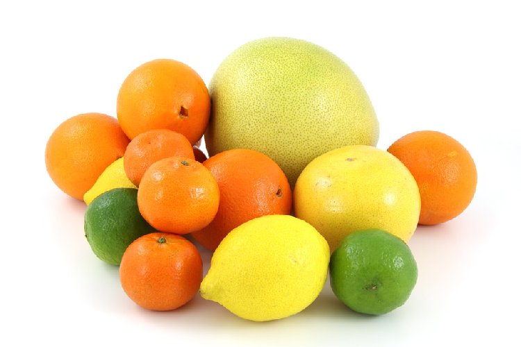 https://www.ragusanews.com/immagini_articoli/15-11-2019/dieta-limone-e-pompelmo-per-dimagrire-500.jpg