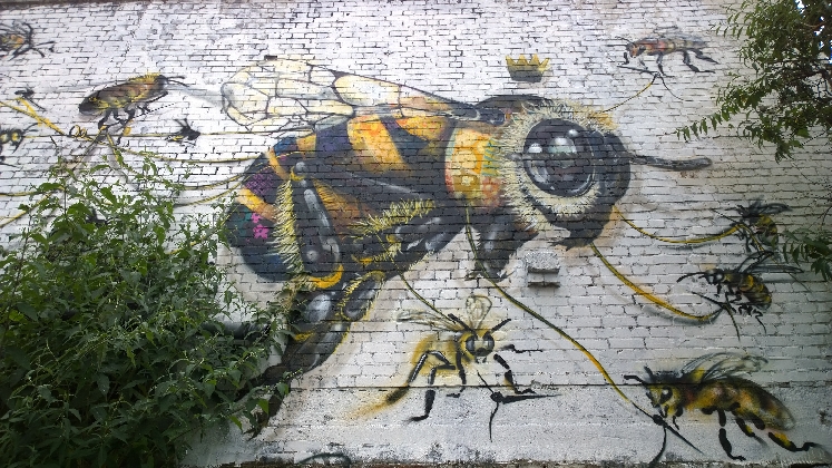 https://www.ragusanews.com/immagini_articoli/16-09-2016/donk-la-street-art-londinese-in-mostra-a-vittoria-420.jpg