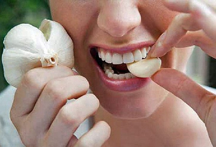https://www.ragusanews.com/immagini_articoli/17-04-2020/dieta-i-cibi-che-fungono-da-antibiotici-naturali-500.jpg
