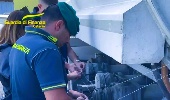 https://www.ragusanews.com/immagini_articoli/17-10-2024/gasolio-agevolato-ad-uso-agricolo-15-indagati-anche-a-ragusa-100.jpg
