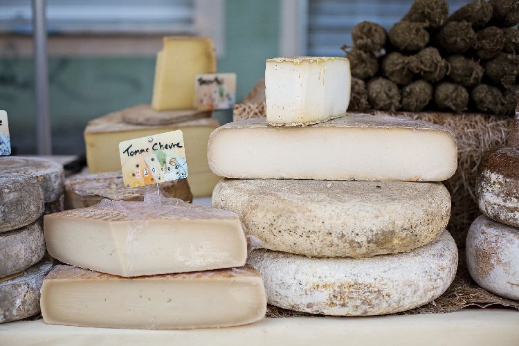 https://www.ragusanews.com/immagini_articoli/17-12-2020/i-formaggi-che-tengono-a-bada-il-colesterolo-500.jpg