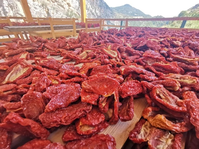 https://www.ragusanews.com/immagini_articoli/18-11-2023/nas-disequestrano-o7-mila-chili-di-conserve-in-un-azienda-non-autorizzata-500.jpg